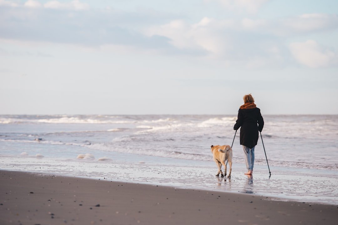 woman-in-black-jacket-walking-with-dog-on-beach-during-daytime-pbpmtzxs-48